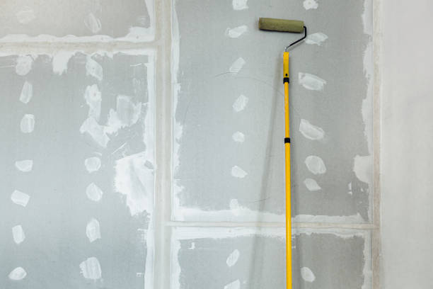 Mold Documentation for Insurance Claims in Browns Mills, NJ