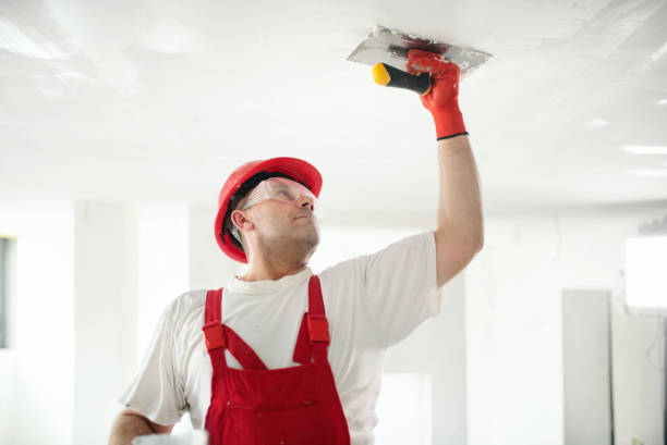 Mold Remediation for Rental Properties in Browns Mills, NJ