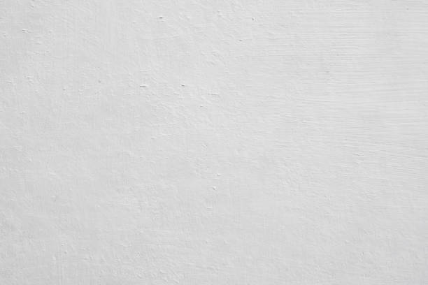 Trusted Browns Mills, NJ Mold Removal Experts