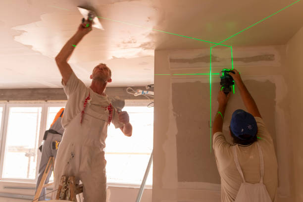 Best Attic Mold Removal  in Browns Mills, NJ