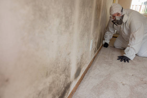 Best Crawl Space Mold Remediation  in Browns Mills, NJ