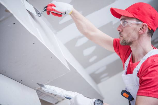 Best Emergency Mold Remediation  in Browns Mills, NJ